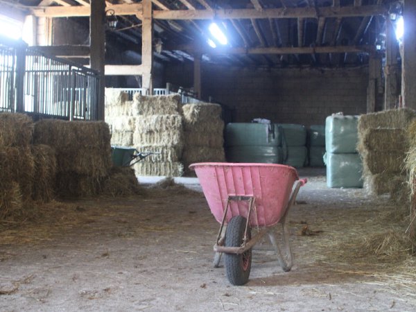 Hooibalen in de schuur op Hof van Philipsland
