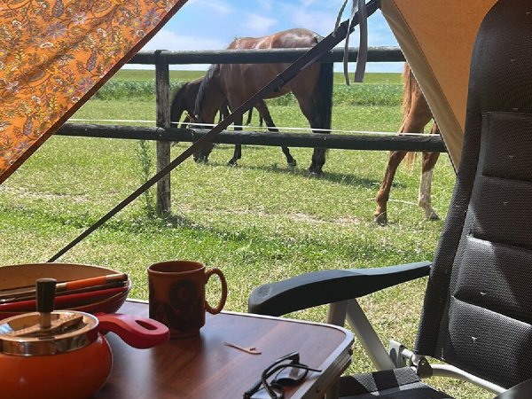 Uitzicht op de paarden vanuit de tent, met koffie op tafel