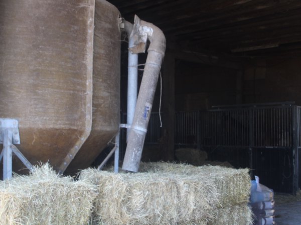 Paarden in de stal op Hof van Philipsland